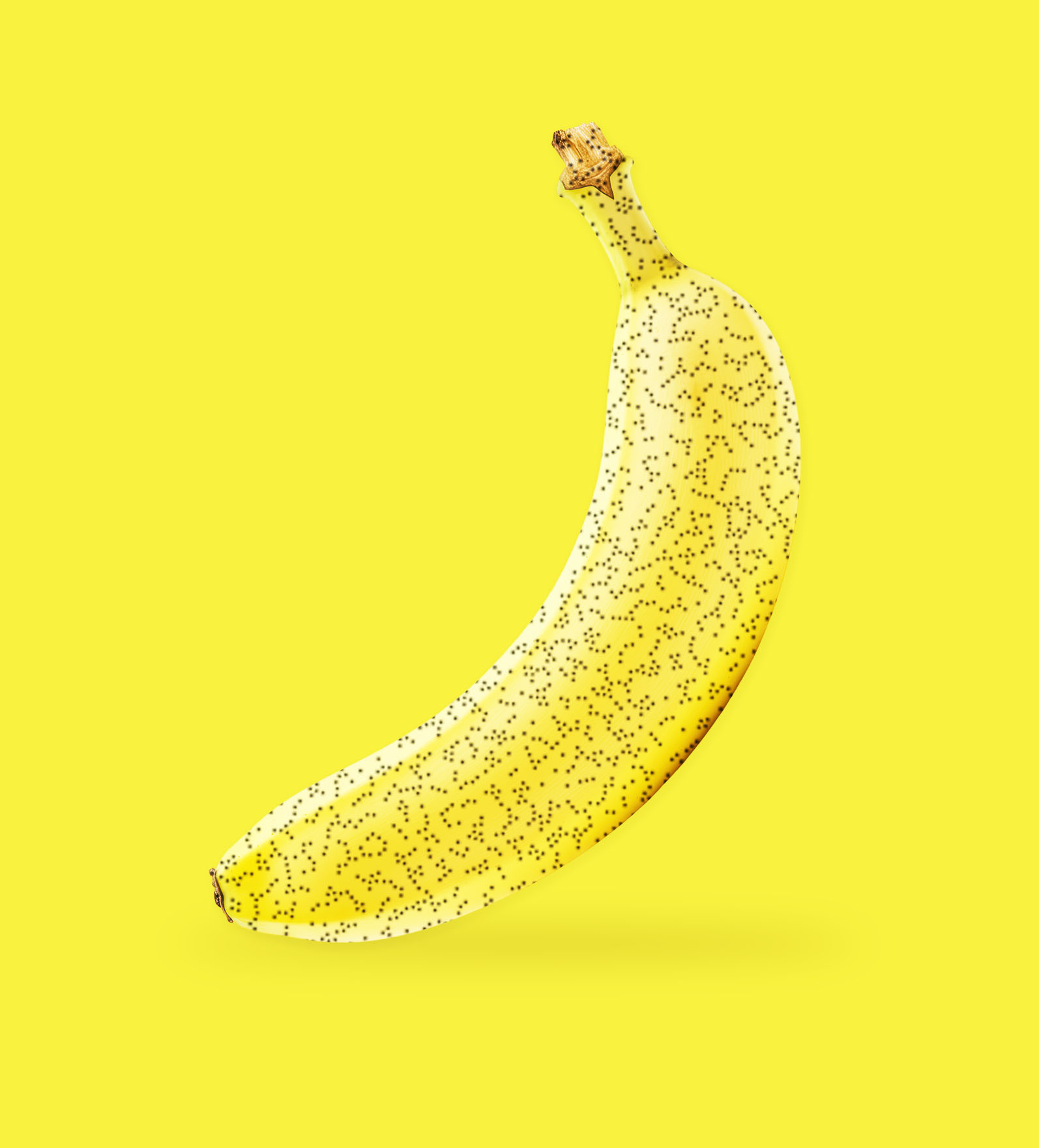 Digimarc - hl-repro Digimarc - usynlige stregkoder og informationer